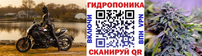 Канабис сатива  Углегорск 